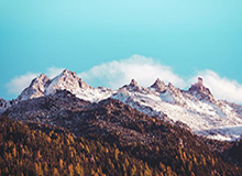 开云体育在线：在云端点亮体育热情的新纪元